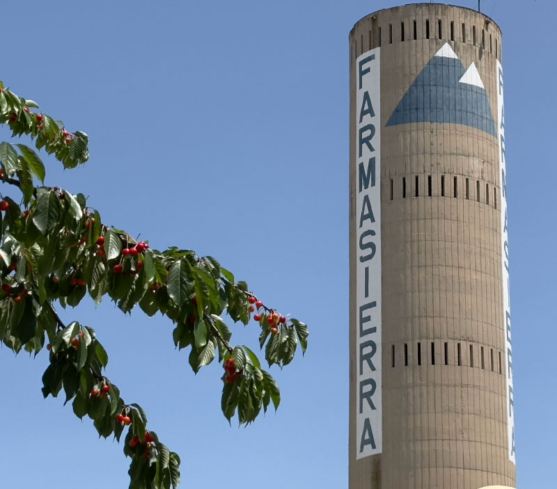 chimenea-farmasierra-verano farmasierra tree